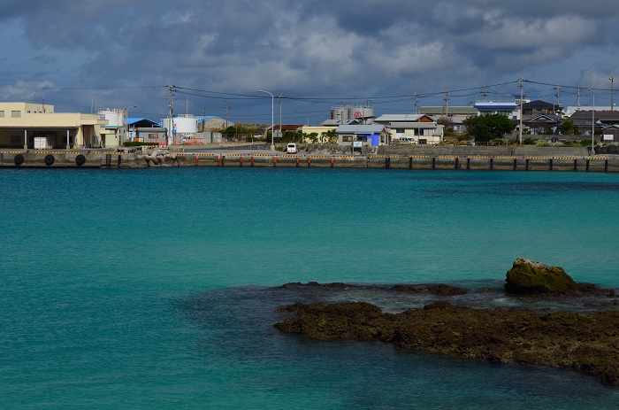 海岸で出会った鳥_b0288942_9104984.jpg