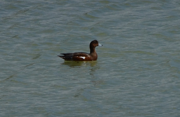 b0288942_9155050.jpg