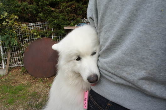 2013年中部オフ その2_f0128542_18295585.jpg