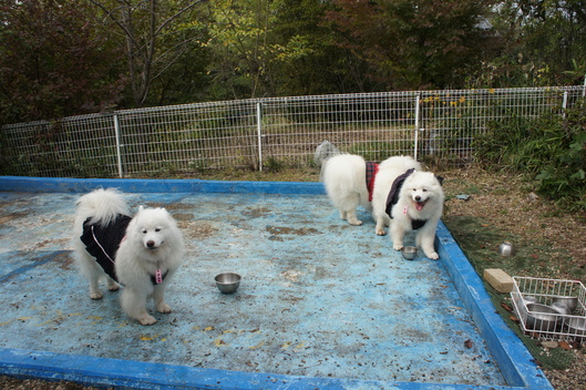 2013年中部オフ その2_f0128542_18315793.jpg