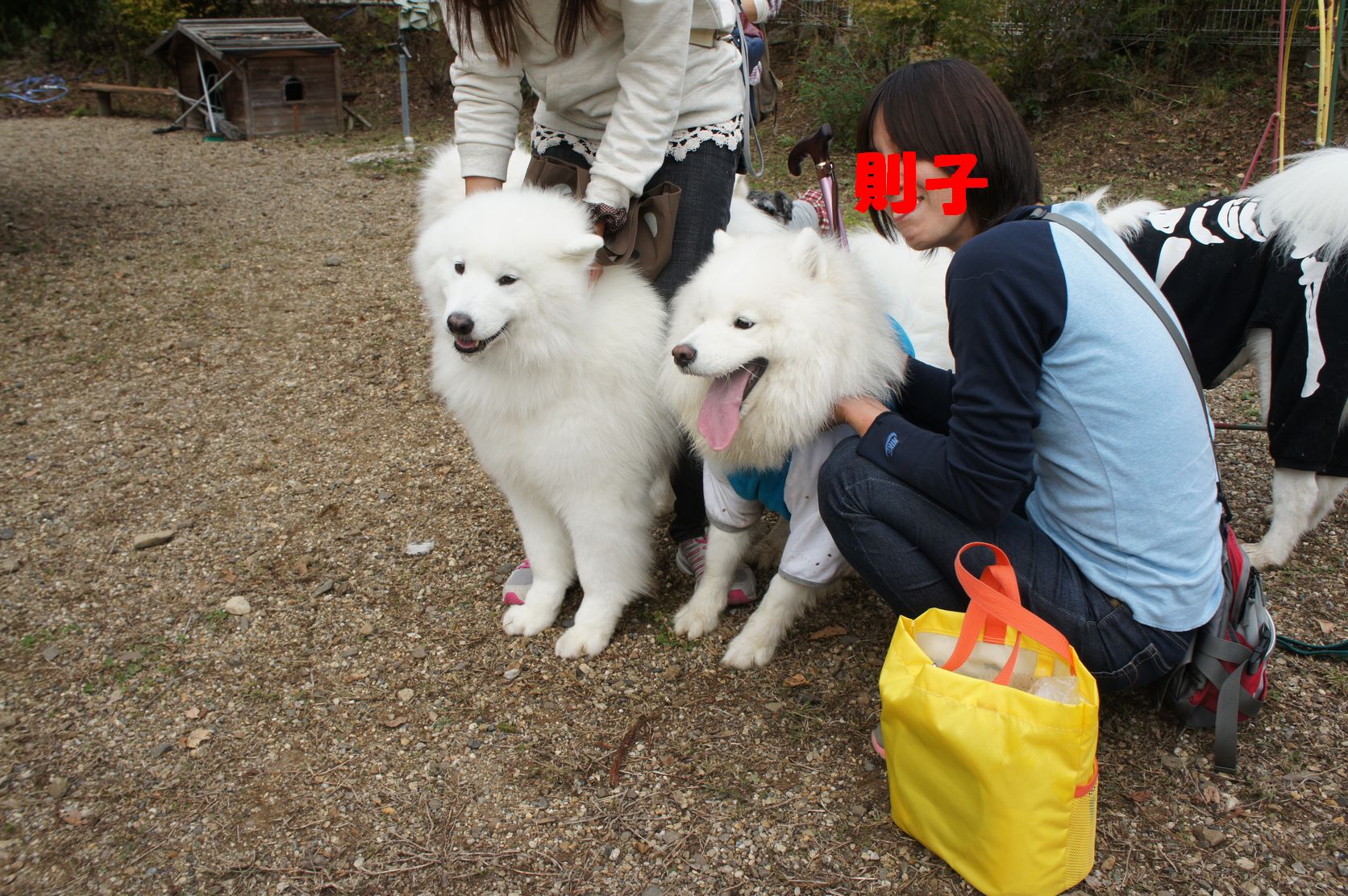 2013年中部オフ その2_f0128542_18394032.jpg