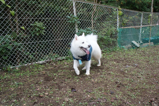 2013年中部オフ その2_f0128542_18414185.jpg