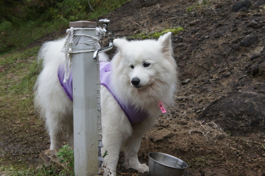 2013年中部オフ その2_f0128542_1847118.jpg