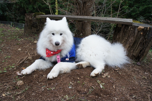 2013年中部オフ その2_f0128542_18561597.jpg