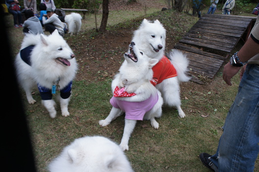 2013年中部オフ その2_f0128542_18583665.jpg