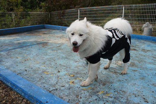 2013年中部オフ その2_f0128542_1901534.jpg