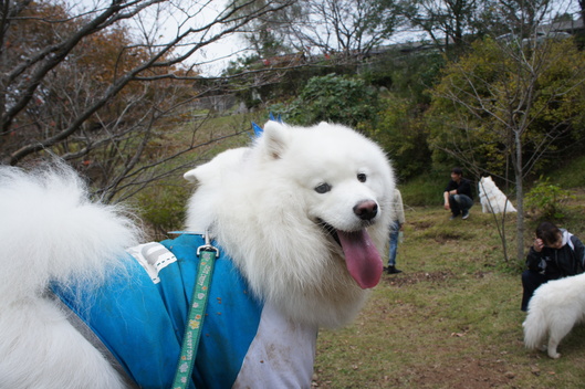 2013年中部オフ その1_f0128542_9152477.jpg