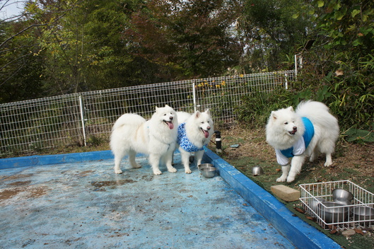 2013年中部オフ その1_f0128542_9255054.jpg