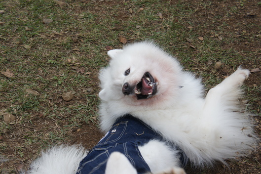 2013年中部オフ その1_f0128542_9345224.jpg