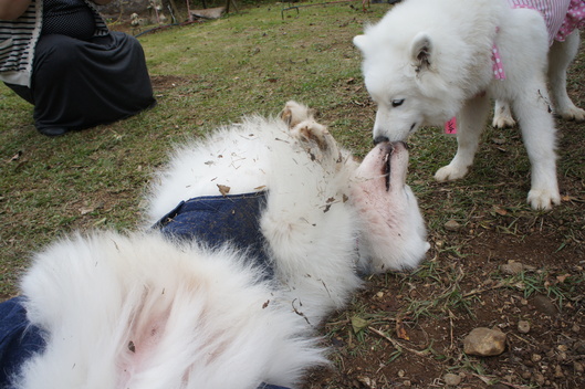 2013年中部オフ その1_f0128542_9383841.jpg