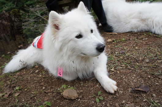 2013年中部オフ その1_f0128542_940465.jpg