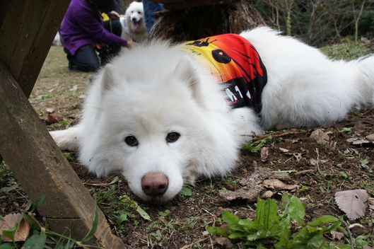 2013年中部オフ その1_f0128542_9414889.jpg