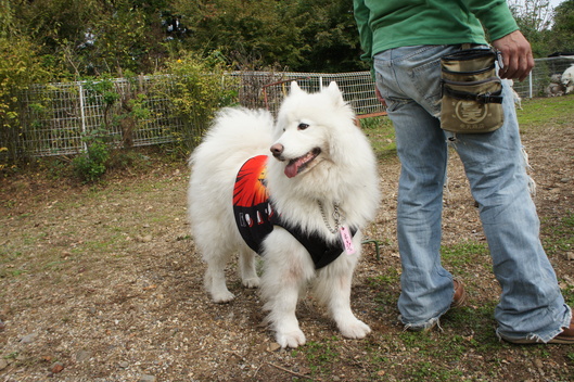 2013年中部オフ その1_f0128542_9444799.jpg