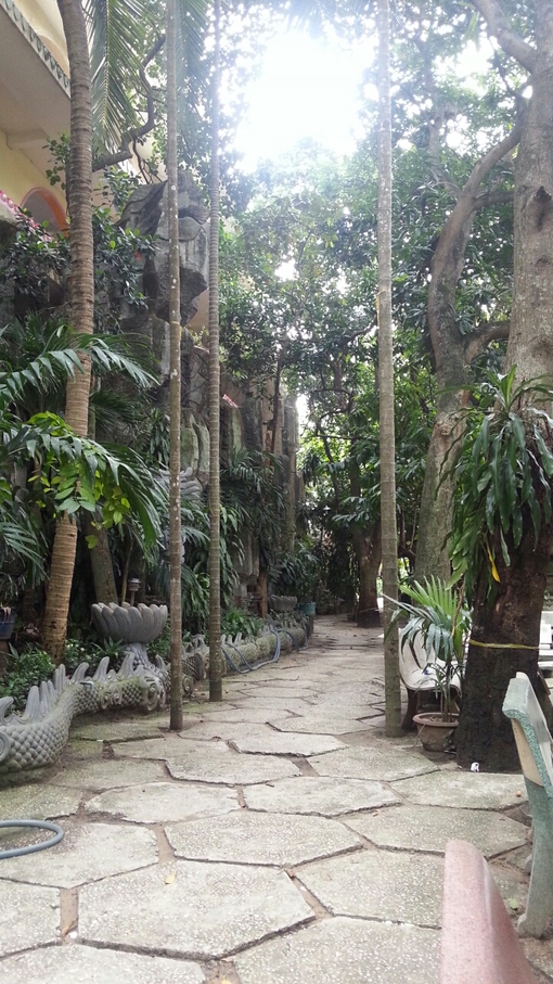 d0160145_1549412.jpg