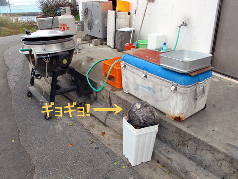 11月 4日(月) 振替休日_b0158746_14543452.jpg