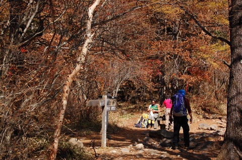 めざすは青年小屋。ついでに編笠山・権現岳へ。その１_b0189948_1951422.jpg