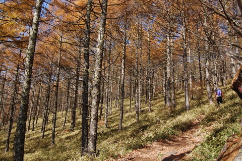 めざすは青年小屋。ついでに編笠山・権現岳へ。その１_b0189948_195164.jpg