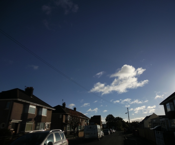 d0230653_653464.jpg