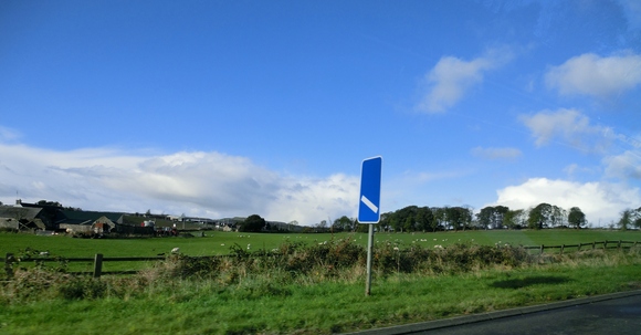 d0230653_715560.jpg
