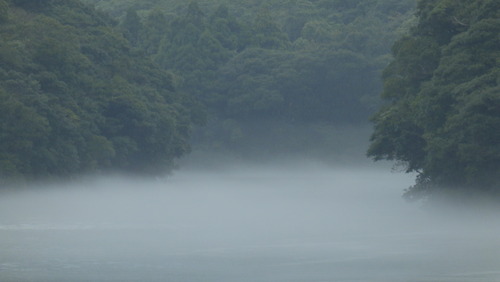 b0160957_11204431.jpg