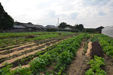 f0186462_23223314.jpg