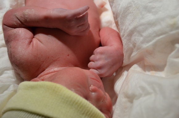 New Born_b0161663_126150.jpg