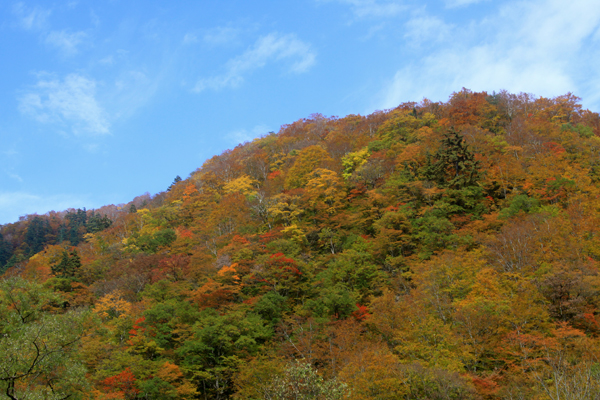 ☆紅葉狩り清津峡トレッキングツアー☆_d0128163_1215461.jpg