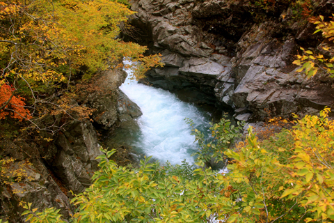 ☆紅葉狩り清津峡トレッキングツアー☆_d0128163_129546.jpg