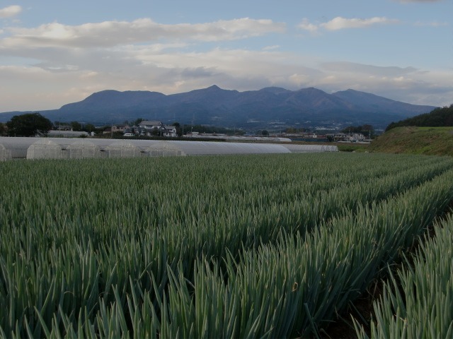 d0010065_20215983.jpg