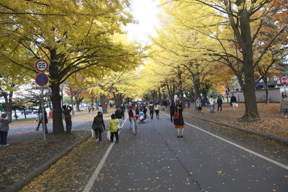 d0324565_011340.jpg