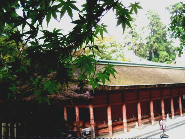 a0157968_12275067.jpg