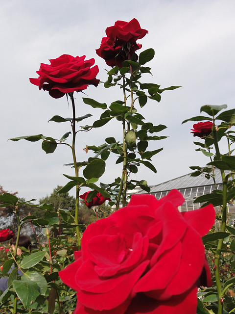 b0006870_144473.jpg