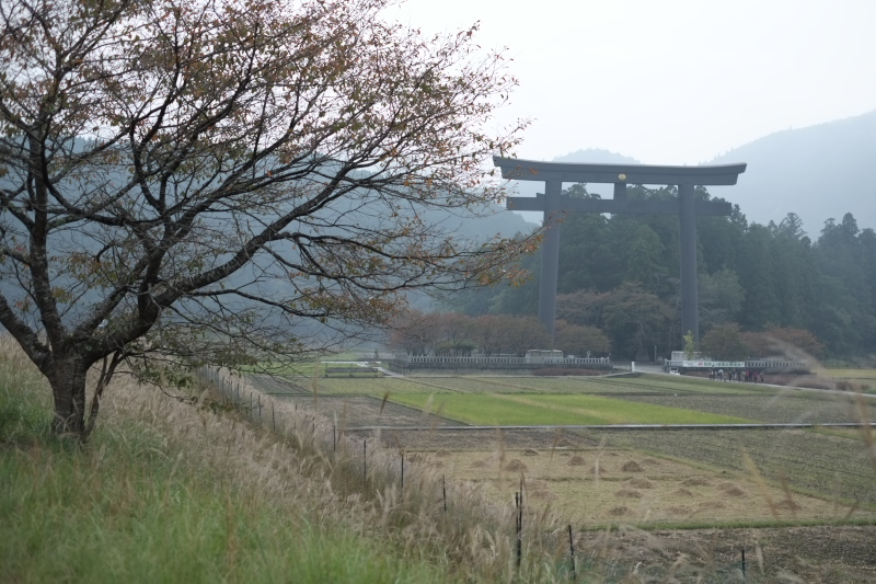e0015174_20193761.jpg