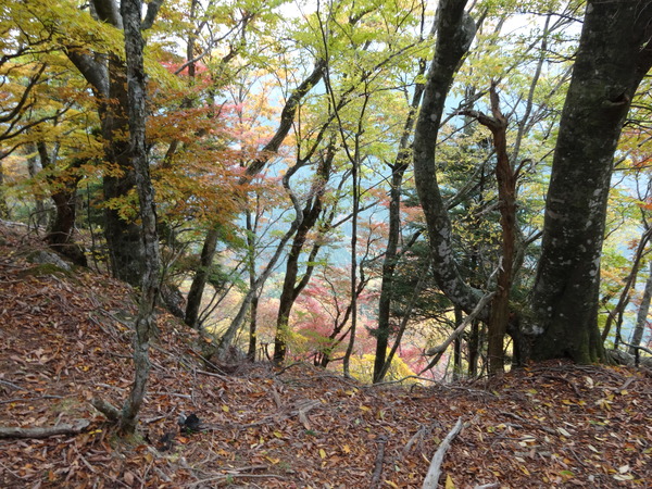 c0066176_82032100.jpg