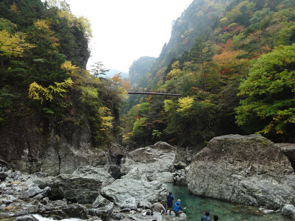 c0066176_875380.jpg