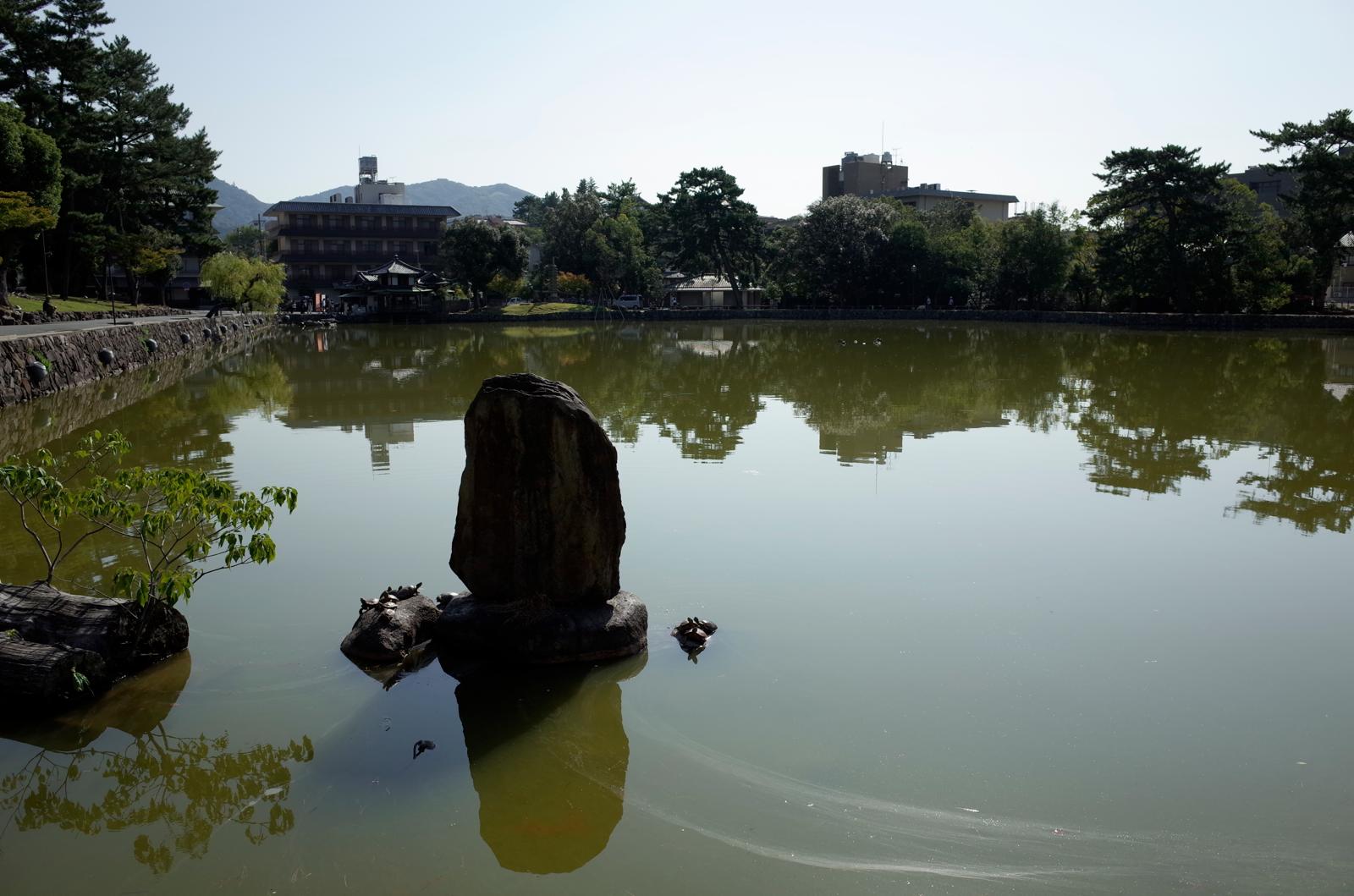 関西旅行でお・も・て・な・し～最終日奈良・大阪編～_c0177576_16501716.jpg