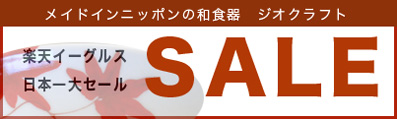 ほかほか、博多水炊き_e0137277_18321581.jpg