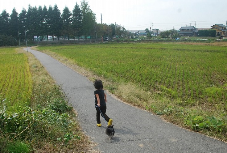 秋晴れの運動会_c0187781_1584675.jpg