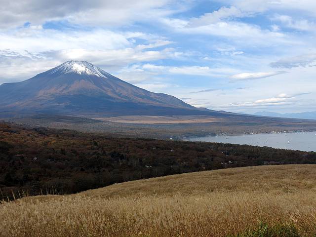 d0036883_12383350.jpg