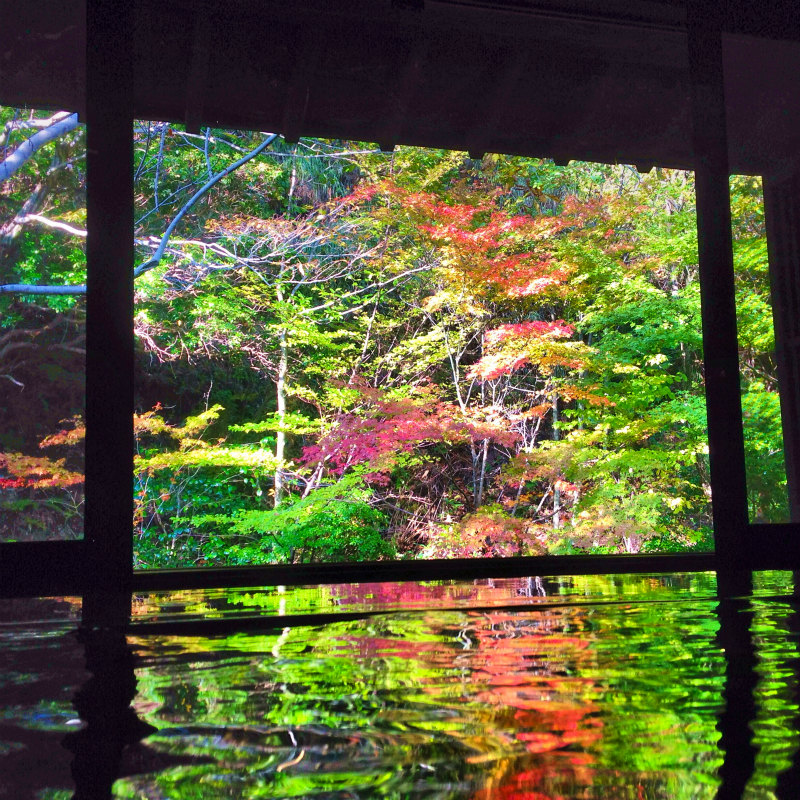 2013/10/30 Mountain Running Trip in Kyushu Day.1 九重_b0220886_17194636.jpg