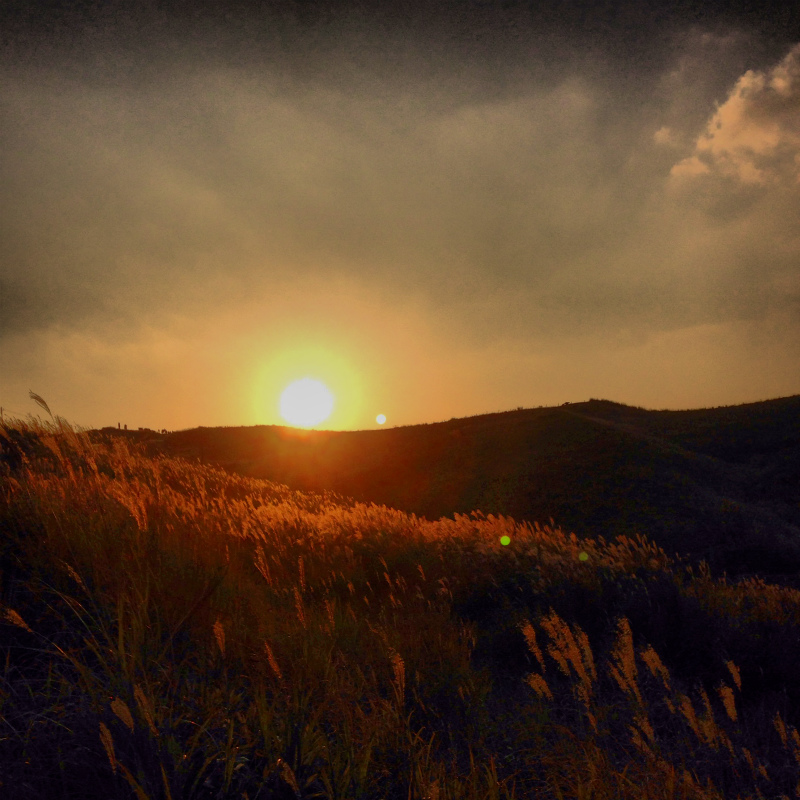 2013/10/30 Mountain Running Trip in Kyushu Day.1 九重_b0220886_17255517.jpg