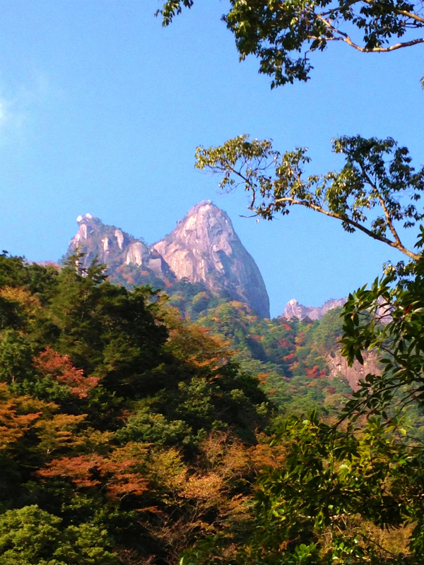 Mountain Running Trip in Kyushu Day.3 大崩山マウンテンランニング_b0220886_18282916.jpg