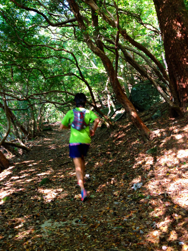 Mountain Running Trip in Kyushu Day.3 大崩山マウンテンランニング_b0220886_1829962.jpg