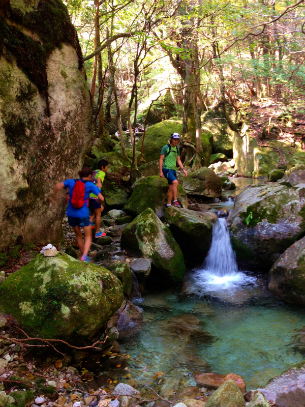 Mountain Running Trip in Kyushu Day.3 大崩山マウンテンランニング_b0220886_18345633.jpg
