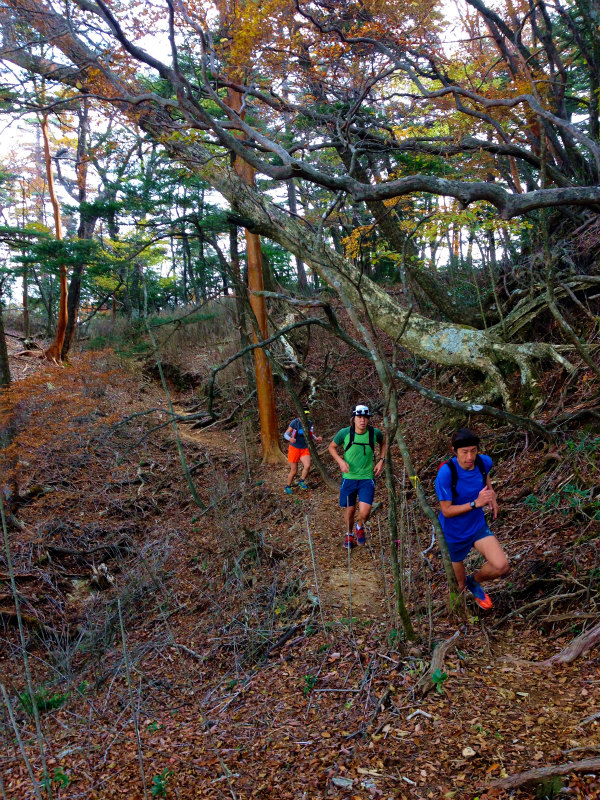 Mountain Running Trip in Kyushu Day.3 大崩山マウンテンランニング_b0220886_18461399.jpg