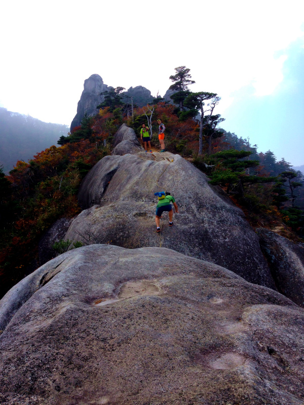 Mountain Running Trip in Kyushu Day.3 大崩山マウンテンランニング_b0220886_18462790.jpg