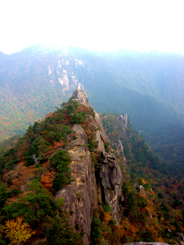 Mountain Running Trip in Kyushu Day.3 大崩山マウンテンランニング_b0220886_18472843.jpg