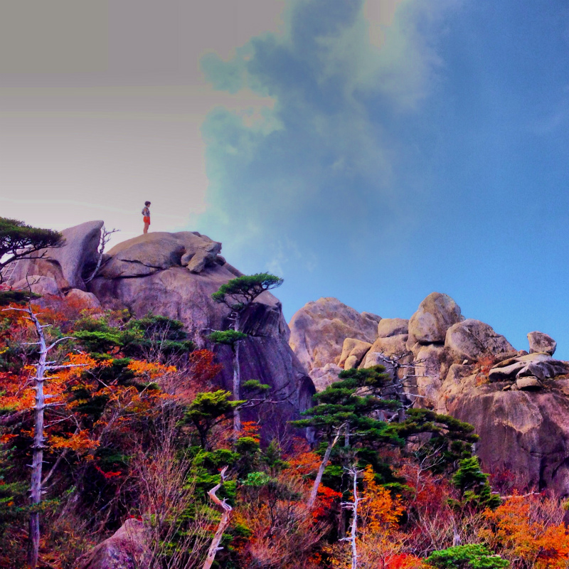Mountain Running Trip in Kyushu Day.3 大崩山マウンテンランニング_b0220886_18481863.jpg