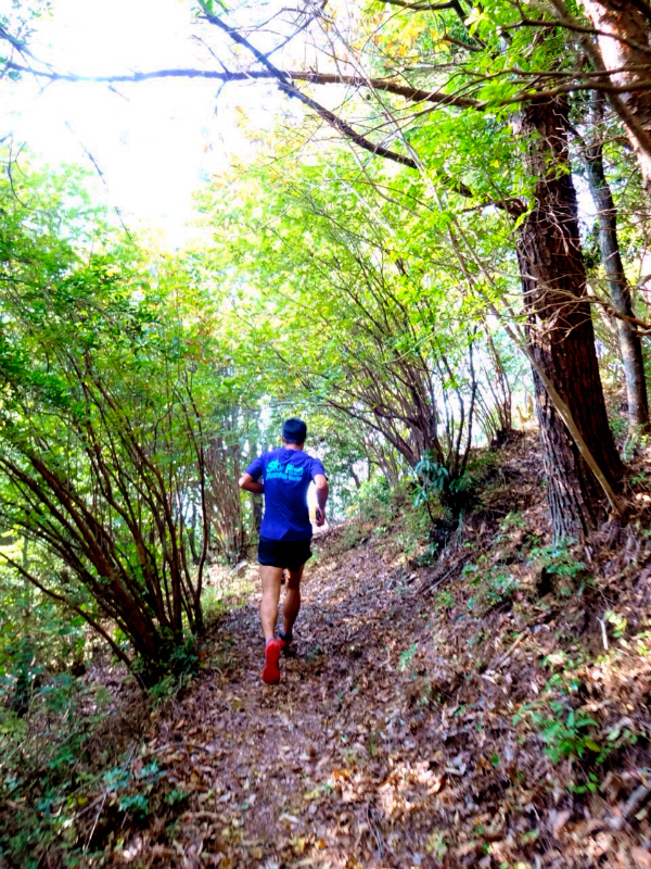 2013/10/31 Mountain Running Trip in Kyushu Day.2 矢筈岳&丹助岳マウンテンランニング_b0220886_186986.jpg