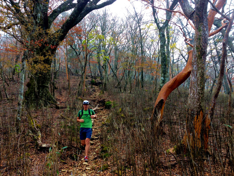 Mountain Running Trip in Kyushu Day.3 大崩山マウンテンランニング_b0220886_1972414.jpg